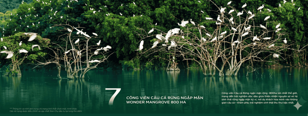 Vinhomes Việt Nam